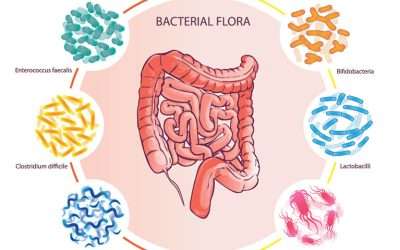 Is Small Intestine Bacterial Overgrowth (SIBO) contributing to your IBS?