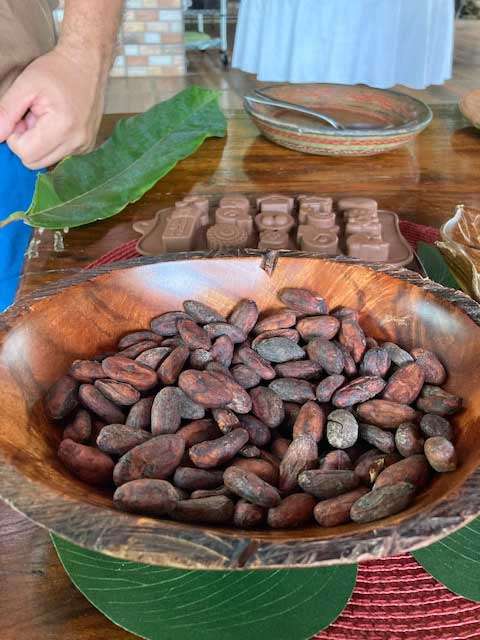 Costa Rican coffee beans, straight off the plant