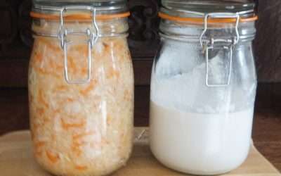 Fermentation – raw sauerkraut and raw kefir